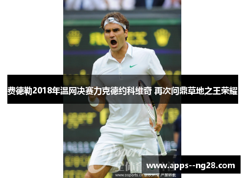 费德勒2018年温网决赛力克德约科维奇 再次问鼎草地之王荣耀