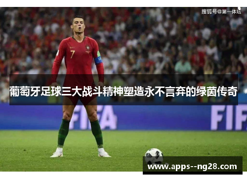 葡萄牙足球三大战斗精神塑造永不言弃的绿茵传奇