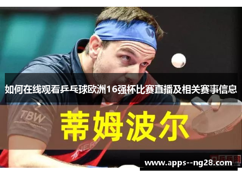 如何在线观看乒乓球欧洲16强杯比赛直播及相关赛事信息