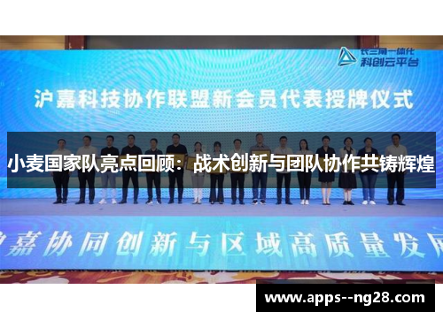 小麦国家队亮点回顾：战术创新与团队协作共铸辉煌