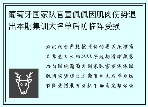 葡萄牙国家队官宣佩佩因肌肉伤势退出本期集训大名单后防临阵受损