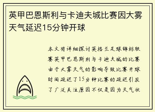 英甲巴恩斯利与卡迪夫城比赛因大雾天气延迟15分钟开球